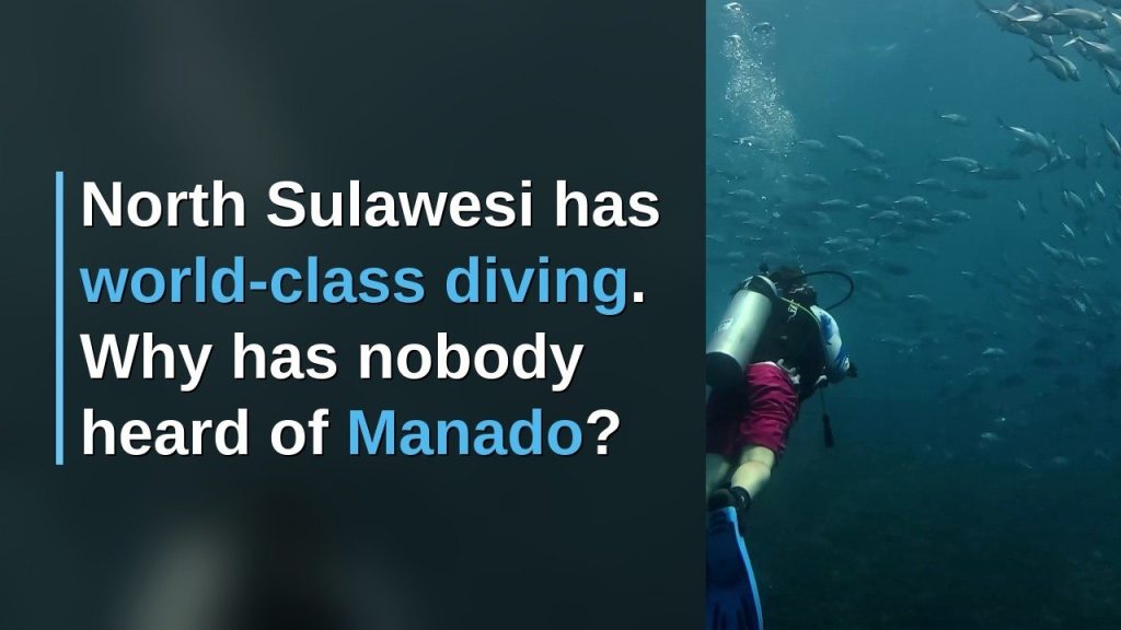 North Sulawesi Has WORLD CLASS DIVING. Why Has Nobody Heard of Manado?