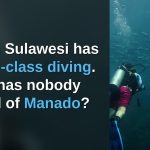 North Sulawesi Has WORLD CLASS DIVING. Why Has Nobody Heard of Manado?