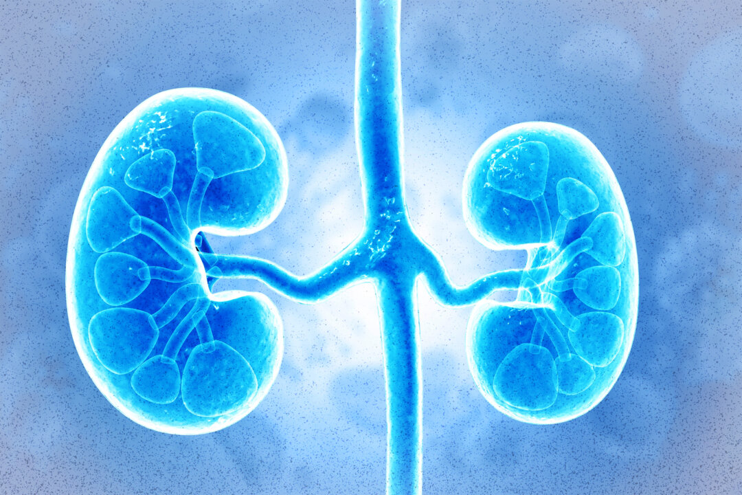 3 Ways Your Health Data Could Help the Next Patient, According to an Australian Nephrologist 3 Ways Your Health Data Could Help the Next Patient, According to an Australian Nephrologist