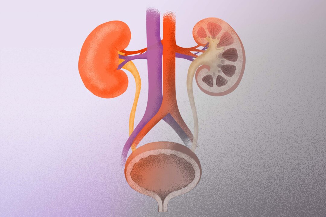 Your Kidneys and Bladder May Be Failing Faster—and Why That’s Happening