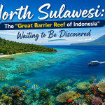 North Sulawesi: The “Great Barrier Reef of Indonesia” Waiting to Be Discovered