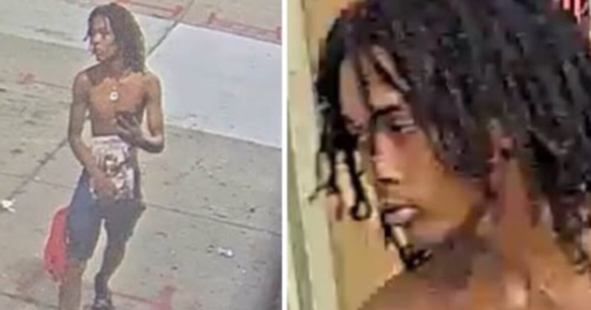 Shirtless Youth Executes Innocent Woman Right Outside a Detroit Liquor Store in ‘Random’ Attack – Woman’s Niece Also Injured * The Gateway Pundit * by Cullen Linebarger