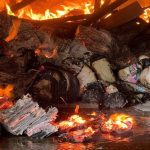Russian Strikes have Destroyed up to 15 Million New Ukrainian Books – Nearly Half of the Country’s Annual Production – According to the New York Times
