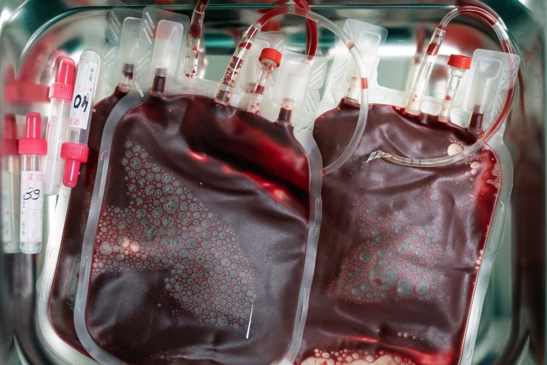 Cost Pressures Force 1 in 8 Blood Cancer Patients to Delay or Cancel Treatment: Report Cost Pressures Force 1 in 8 Blood Cancer Patients to Delay or Cancel Treatment: Report