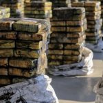 COCAINE POLITICS: Trump & GOP Mega Donor Implicated in One of World’s Largest Ever Cocaine Busts — Corrupt Global Media Shields Key Protagonist