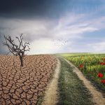 NGO says Climate Change Driving Child Marriages and Teen Pregnancies