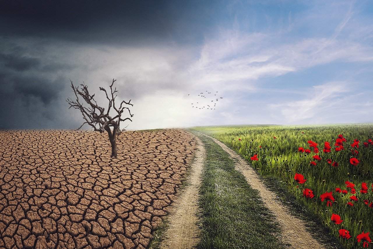 NGO says Climate Change Driving Child Marriages and Teen Pregnancies